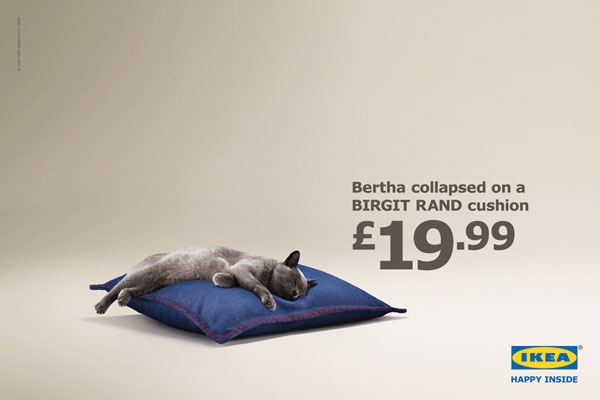 Cat for Ikea advert